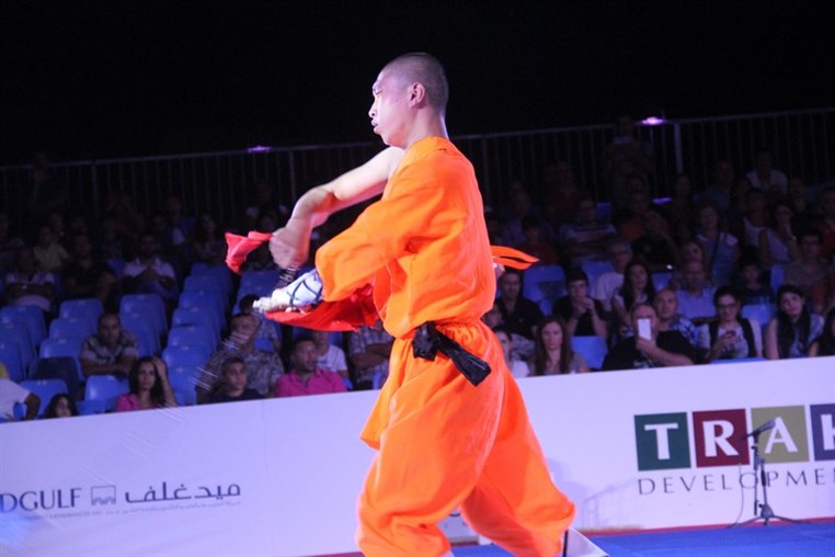 Martial Arts Festival